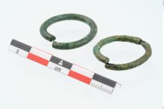 Foto von Bronzering (NHMW-PRAE-026271)